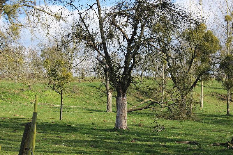 Winterwandeling op 2-3-2014 org. Armand en Judith Menten (14).JPG